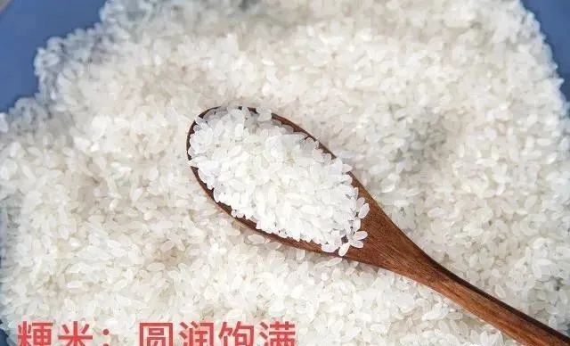 微信图片_20230313110432.jpg 微信图片_20230313110432.jpg