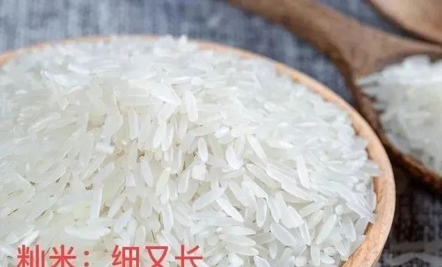 微信图片_20230313110429.jpg 微信图片_20230313110429.jpg